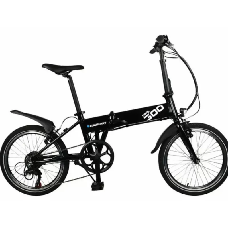Carl 300*BLAUPUNKT