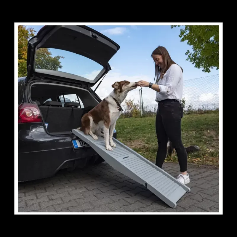 Outlet Rampe Emma pour chien Chiens & Animaux|Vie En Plein Air·Pour Le Chien