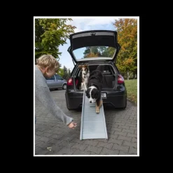 Outlet Rampe Emma pour chien Chiens & Animaux|Vie En Plein Air·Pour Le Chien