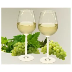 Verre à vin polycarbonate*Camp4