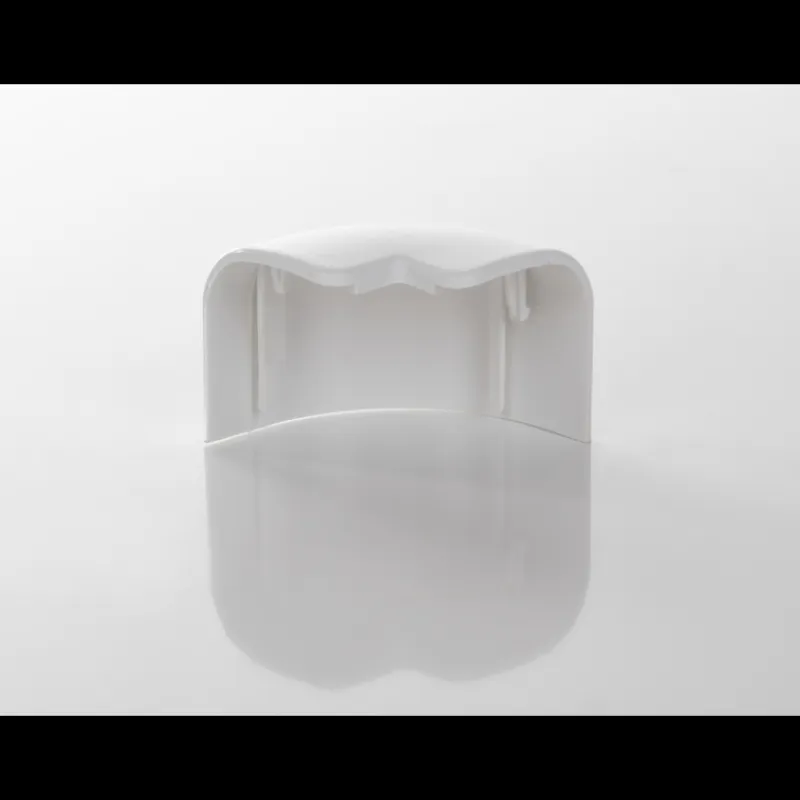 Online Capuchon pour cadres de fenêtre RW Fenêtre & Baie·Cadre Intérieur