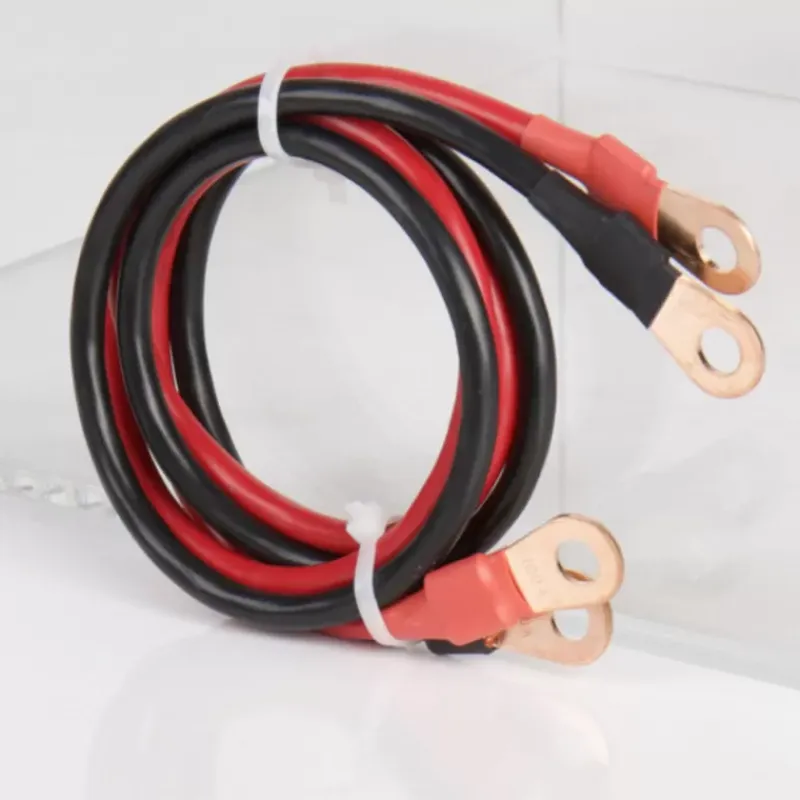 PowerLoad Chargeur batterie 12 V | 40 A*Carbest Hot