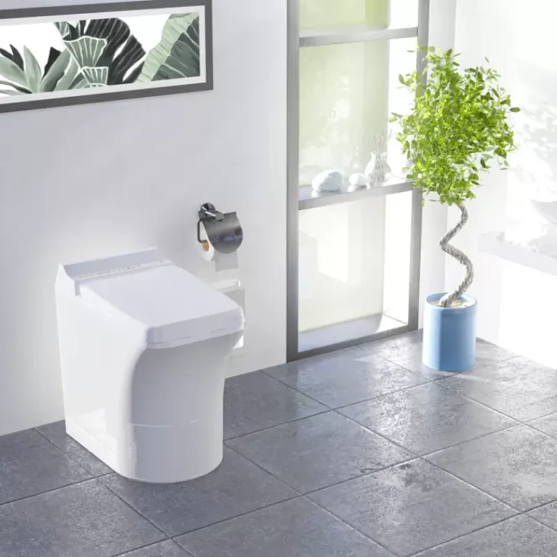 Comfort WC*CINDERELLA New