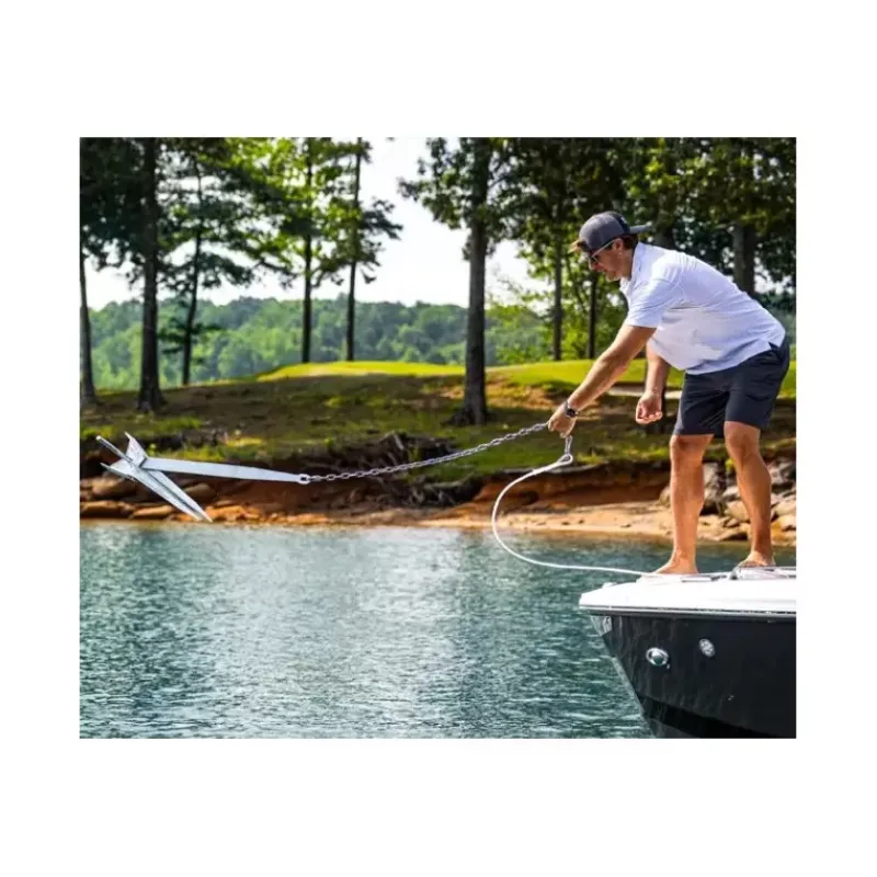 Ancre inox*Danforth Online
