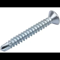 EA Lot de 100 vis tôle autoforeuse ø 3,9 x 25 mm*Euro Accessoires Sale