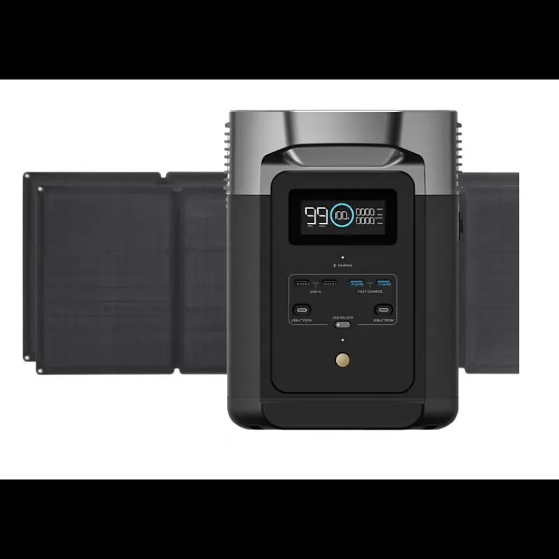 Delta 2 1024 Wh + Panneaux solaires 2 x 110 W*EcoFlow Best