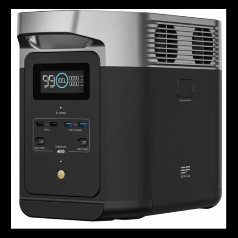 Delta 2 1024 Wh + Panneaux solaires 2 x 110 W*EcoFlow Best