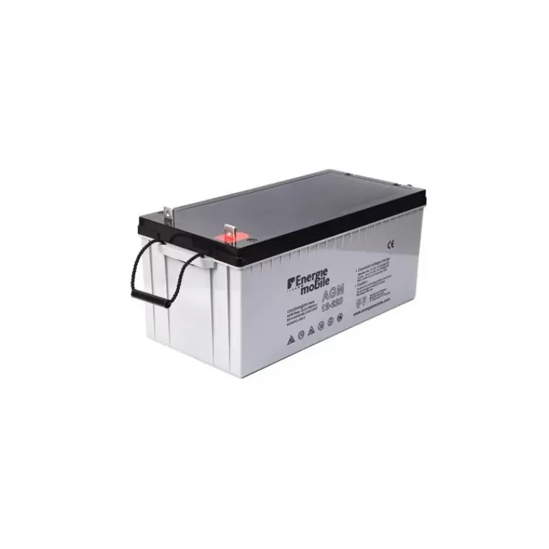 EM Batterie AGM plomb carbone 220 Ah*Energie Mobile Hot