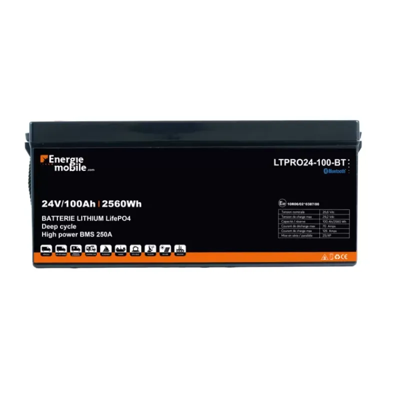 EM Batterie Lithium LTPRO 24-100 Ah BT | 2560 Wh*Energie Mobile Discount