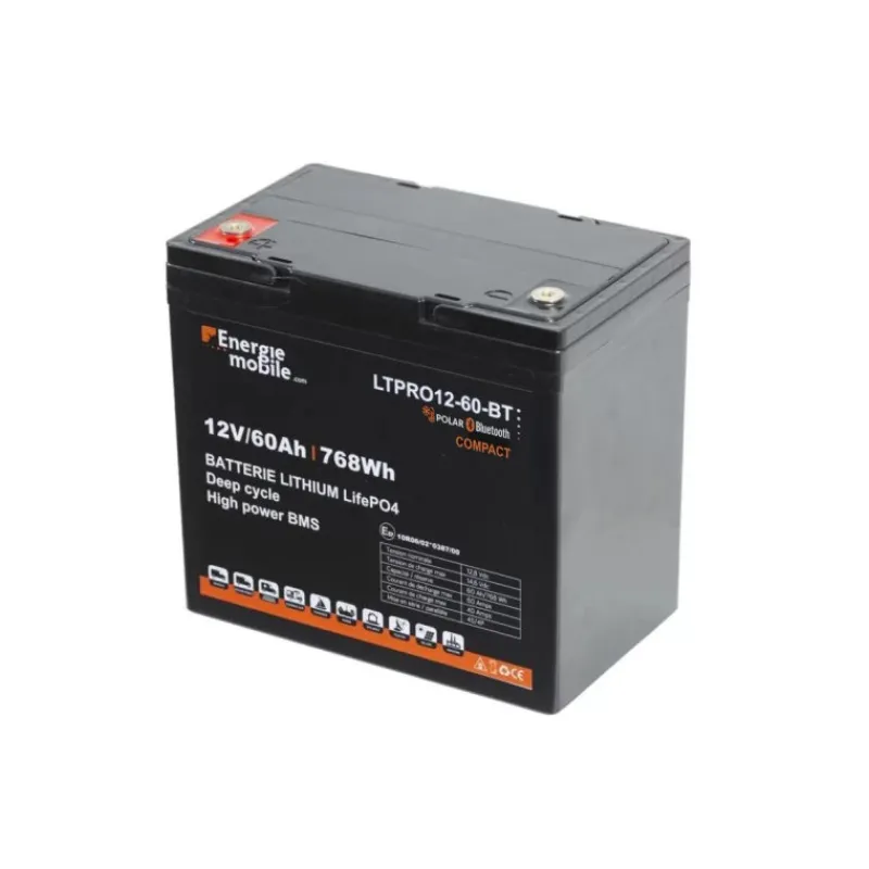 EM Batterie Lithium LTPRO 12-60 AH HD-P-BT - 768 Wh Batterie·Batterie Lithium|Batteries·Batterie Lithium