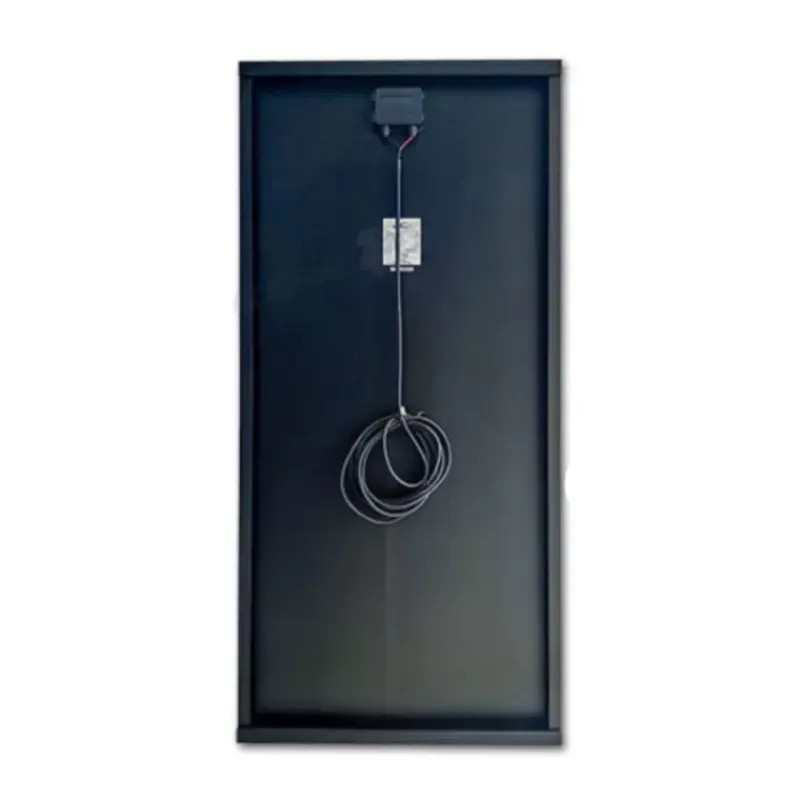 Panneau solaire PERC 200 W | avec supports*ExtraSUN Hot