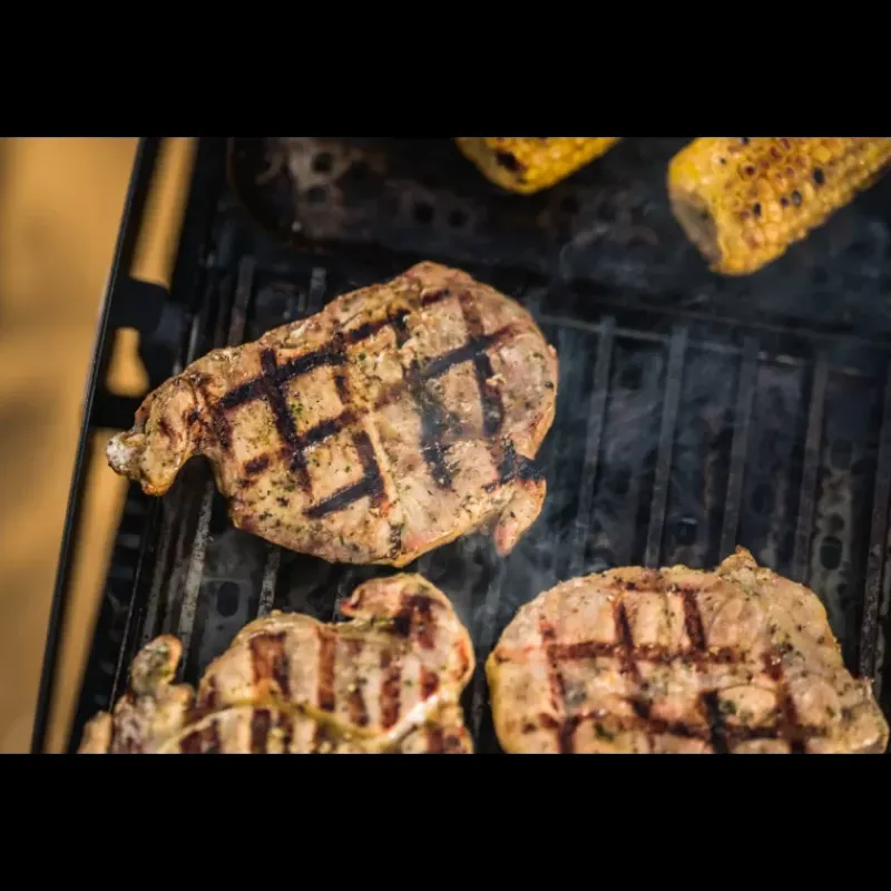 Best Grille et lèches-frites Cuisson·Grille & Accessoire Barbecue|Barbecue & Réchaud Extérieur·Accessoire Barbecue