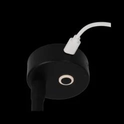 Felino Flex spot noir USB-C*Haba New