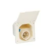 Socle mâle P17 à encastrer | beige*Haba Clearance