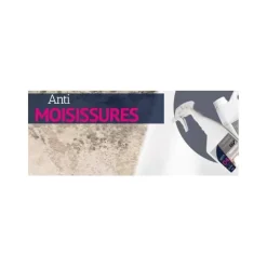 04 Détachant Moisissures*Nautic Clean Online