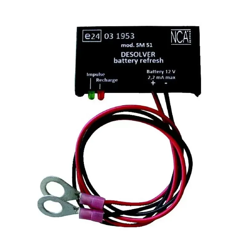 Rénovateur de batterie 12 V*NCA Sale