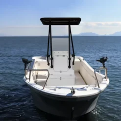 Best T-Top professionnel Heavy Duty Poste De Pilotage·Roll-Bar, T-Top, Anneau De Traction & Arceau