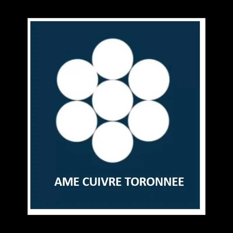 Outlet Câble sur-gainé 2 x 6 mm² Distribution & Protection·Câble Électrique|Distribution & Protection·Câble & Fil Électrique