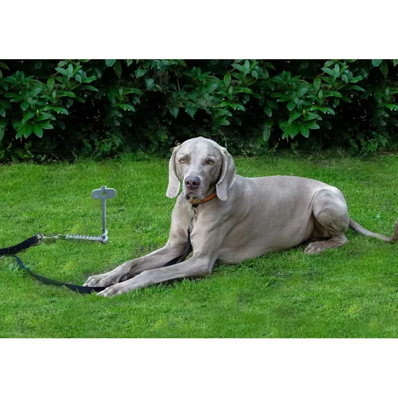 PEGGYPEG PetPeg 2.0*Peggy Peg Best
