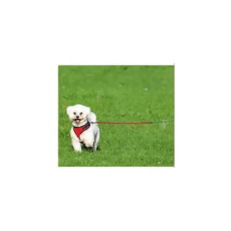 Best Piquet pour chien 40 cm Chiens & Animaux|Vie En Plein Air·Pour Le Chien