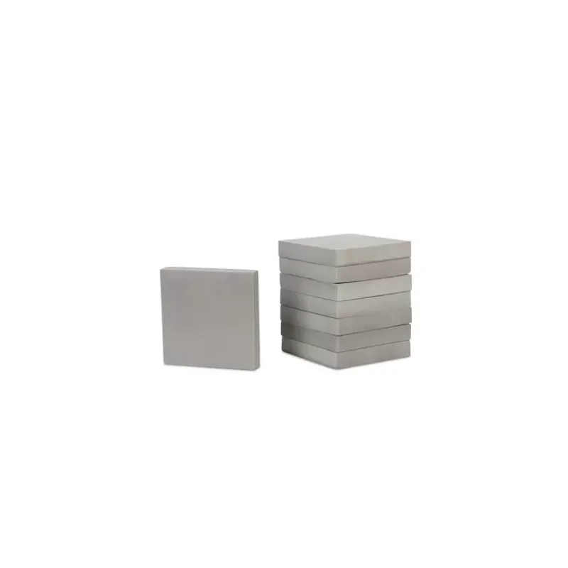 REIMO TENT Pads de protection*Reimo Tent Technology Hot