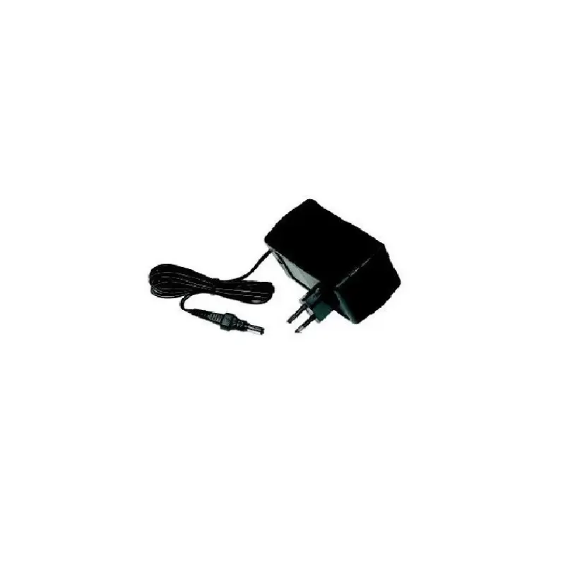 Chargeur 220 V pour gonfleur*SCOPREGA New