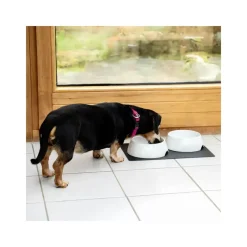 Gamelles magnétiques en porcelaine avec tapis Chiens & Animaux|Vie En Plein Air·Pour Le Chien