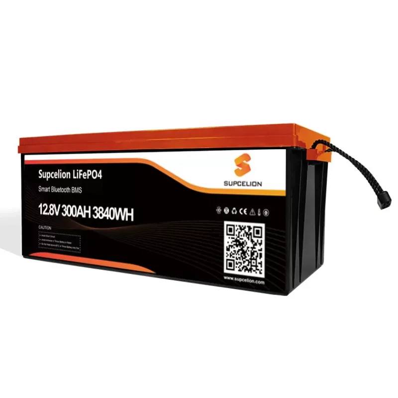 Batterie Lithium Pro 12-300 Ah BT - 3840 Wh*Supcelion Sale