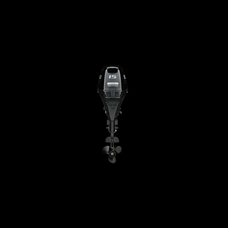 SUZUKI DF15A | Moteur HB 15 CV | Arbre court ou long*Suzuki Hors-bord Online