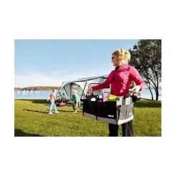 Go Box*Thule Online
