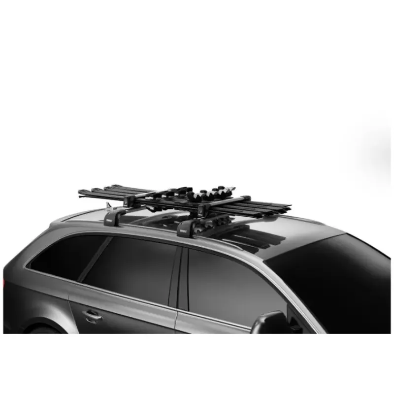 SnowPack M*Thule Online