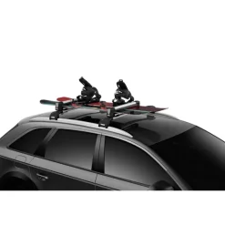 SnowPack M*Thule Online