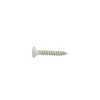 Vis tôle ø 2,84 mm inox T.F bombée Visseries·Vis À Tôle|Visserie·Vis Tôle