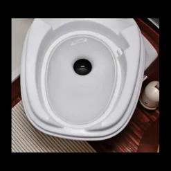 Sale Insert porcelaine pour WC THETFORD Wc & Sanitaires·Accessoire & Entretien Wc