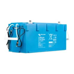 VICTRON NG Batterie lithium 12 V sans BMS | 300 Ah - 3840 Wh*Victron Energy