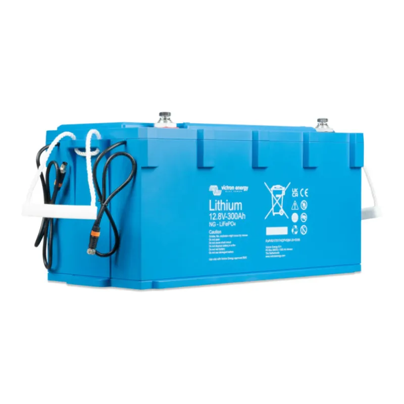 VICTRON NG Batterie lithium 12 V sans BMS | 300 Ah - 3840 Wh*Victron Energy