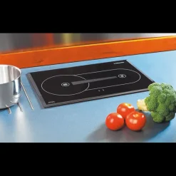 Best Cooker X100 Appareil De Cuisson Intérieur·Plaque De Cuisson Gaz|Cuisson Intérieure, Réchaud Et Réchaud-Four·Plan De Cuisson Induction