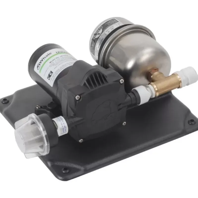 Kit pompe 12 L/min 12 V + vase 1 L*Whale Hot